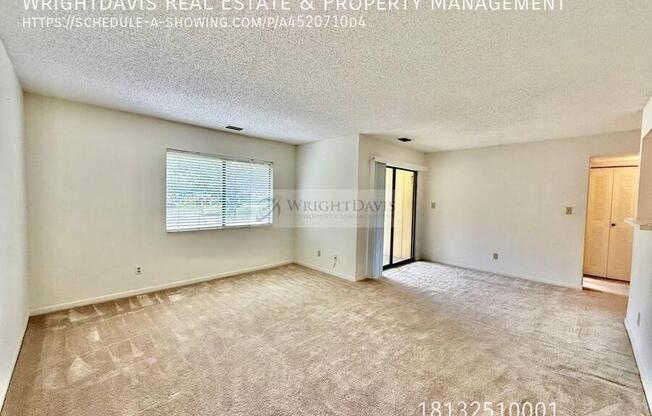 13385 ARBOR POINTE CIR