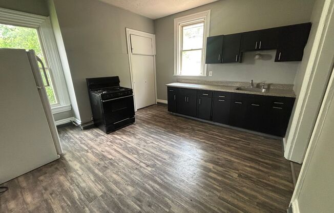 Newly updated 3 bedroom apartment in Mt Washington !