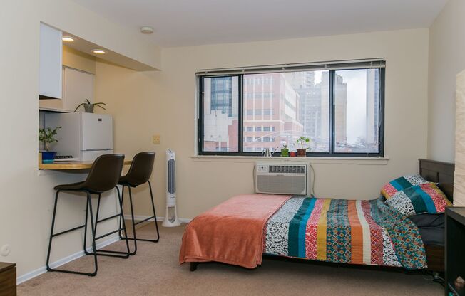 Studio, 1 bath, 400 sqft, $1,450, Unit 204
