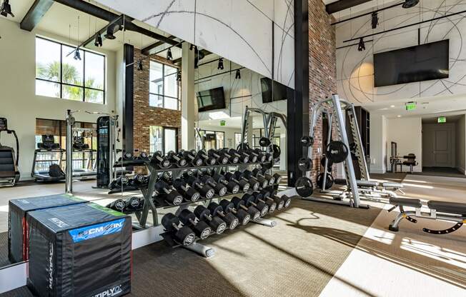 24-Hour Fitness Center With Free Weights at Alta Longwood, Longwood, 32750
