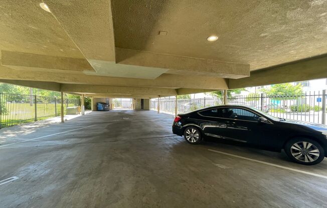 1 bed, 1 bath, $1,450, Unit 05