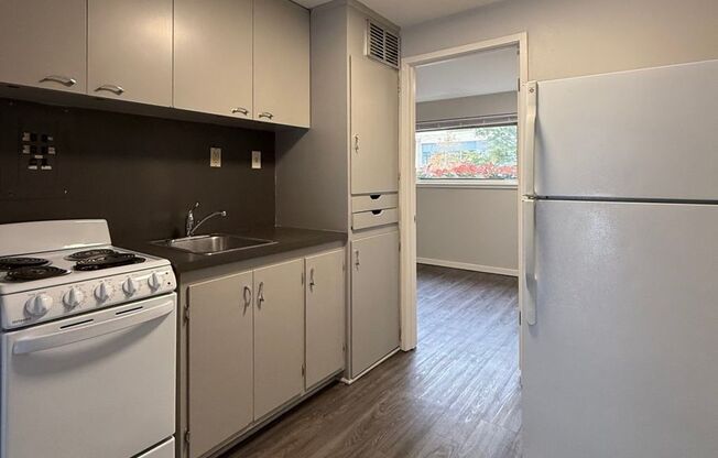 1 bed, 1 bath, 393 sqft, $1,195, Unit 104