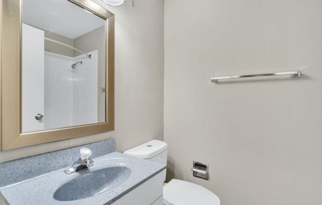 Bathroom | Apartments For Rent in Mount Prospect Illinois | The Element