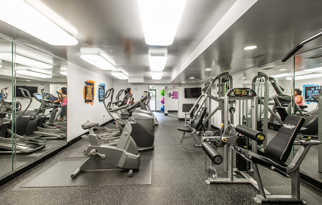 Filly Equipped Fitness Center at Falls Village Apartments, Baltimore, 21209