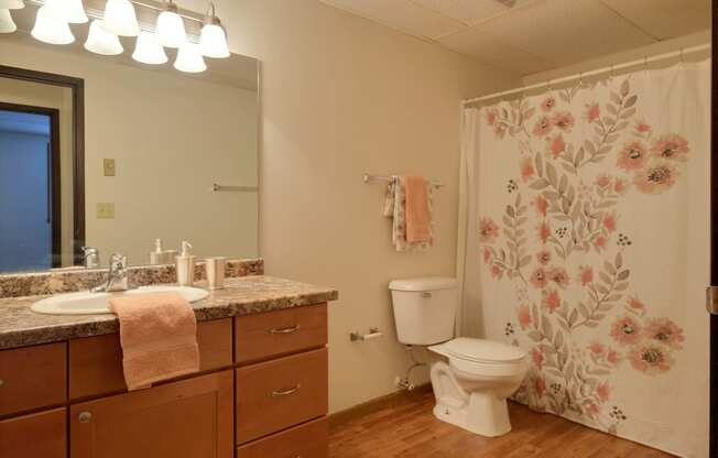 a bathroom with a shower curtain and a sink and a toilet. at France, Fargo