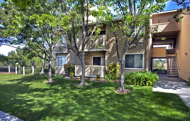 Tree-lined grass area in front of apartments at Club Pacifica, Benicia, CA 94510