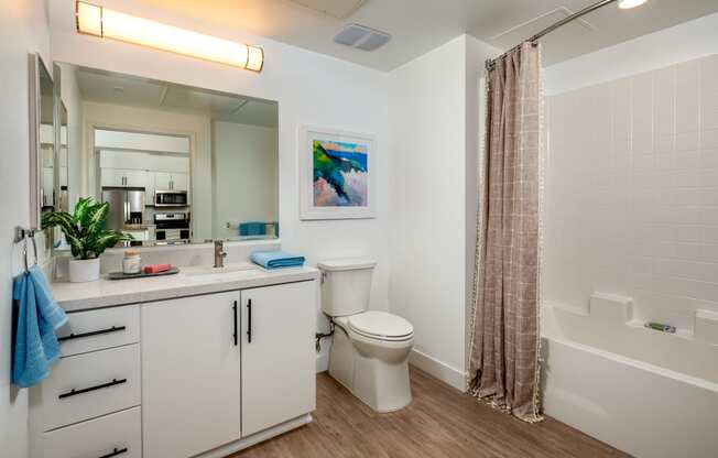 aston at gateway bathroom