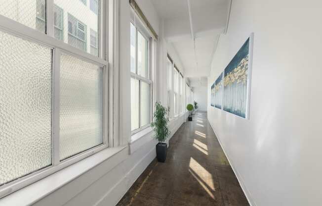 a long hallway with large windows and a potted plant