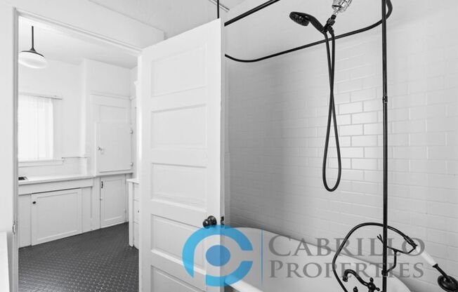 Studio, 1 bath, 341 sqft, $1,750, Unit 203