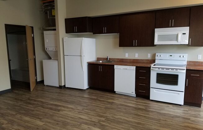 Studio, 1 bath, 460 sqft, $1,025, Unit 1-105E