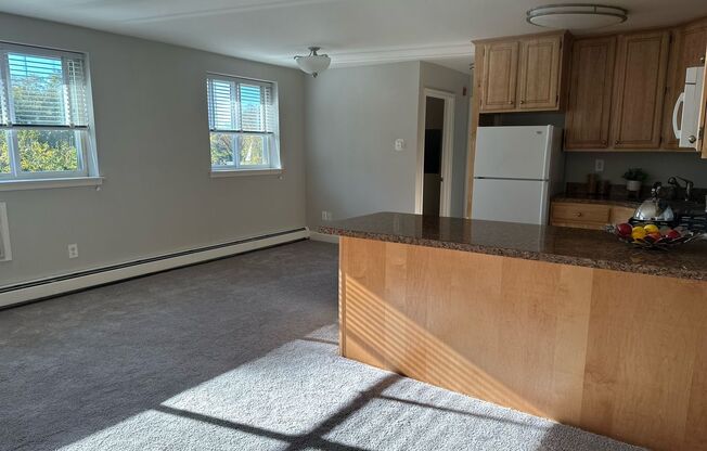 1 bed, 1 bath, 578 sqft, $1,450, Unit F03