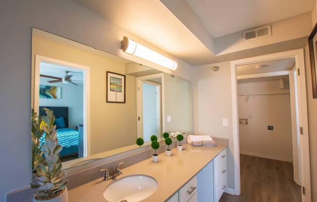 A bathroom with a pineapple on the counter.