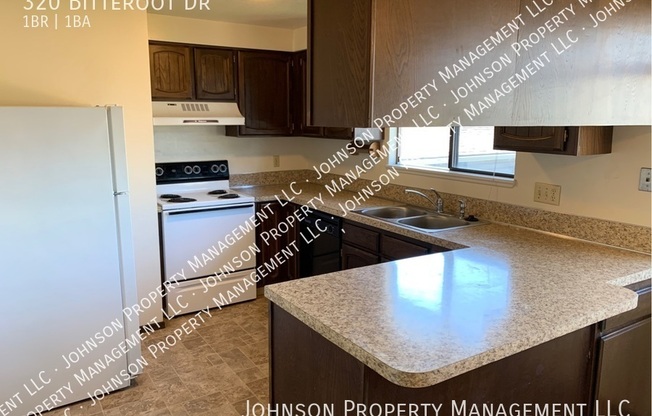 320 BITTEROOT DR
