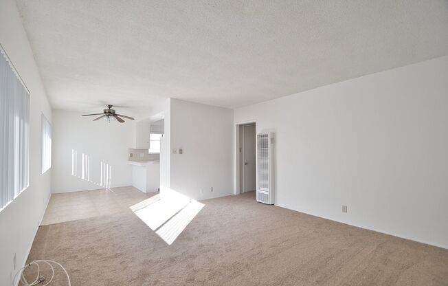 t11701