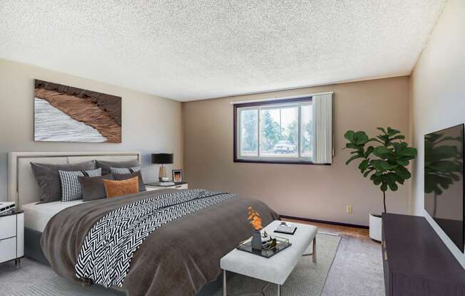 spacious bedroom carpet bright window