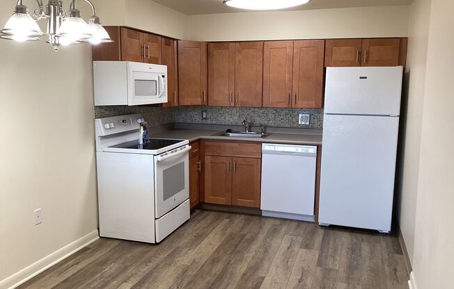 1 bed, 1 bath, 734 sqft, $1,242, Unit 192