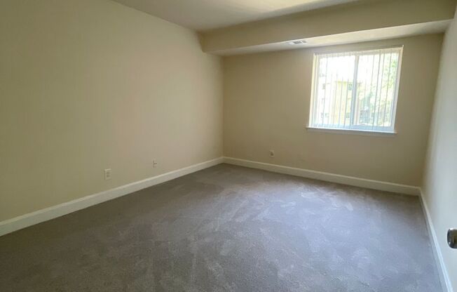 1 bed, 1 bath, 745 sqft, $1,825, Unit 14217 #204