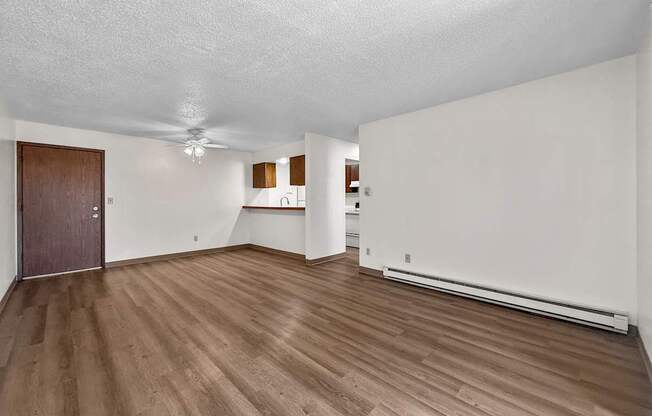 A room with wooden flooring and a brown door.