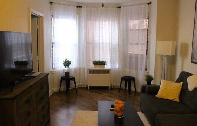 Stylish Living Room at 14 West Elm Apartments, Chicago,Illinois