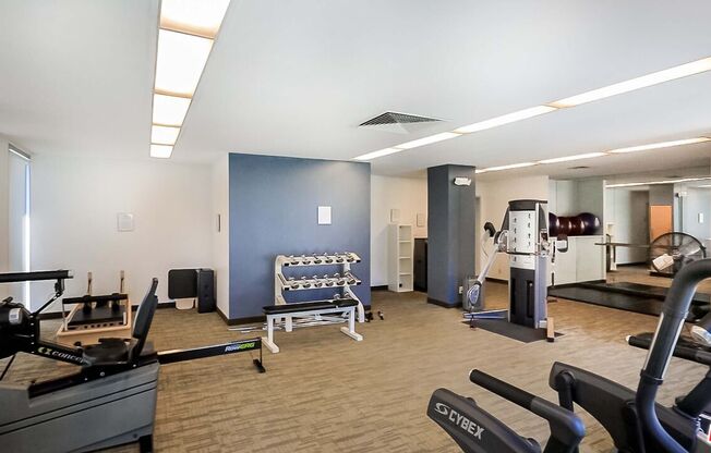 Studio, 1 bath, 481 sqft, $2,500, Unit 2104
