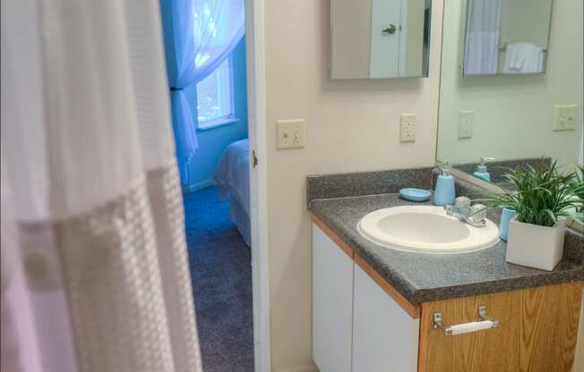 Pine Lane Estates Bathroom with Vanity Mirror