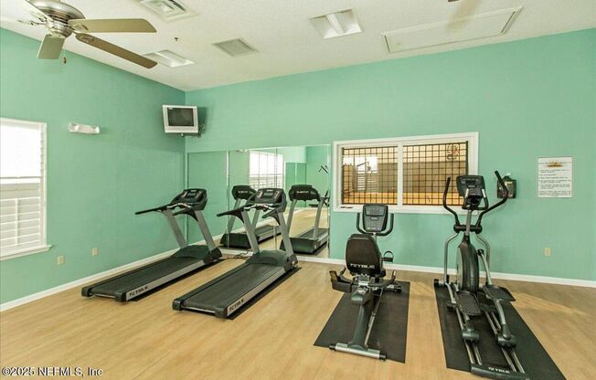 8201 Green Parrot #307