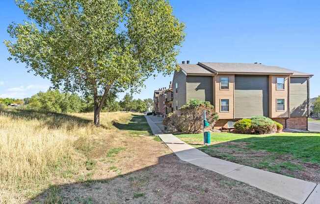 A house with a tree in front of it.