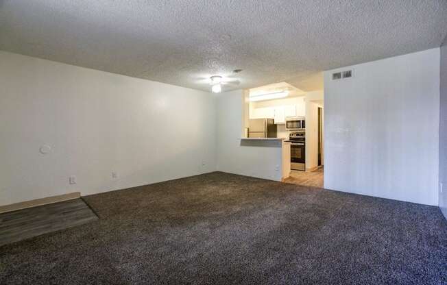 A room with a carpeted floor and a small kitchenette in the background.