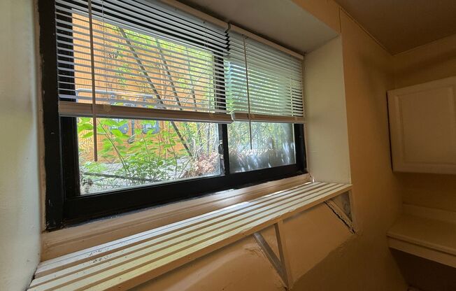 1 bed, 1 bath, $975, Unit 3