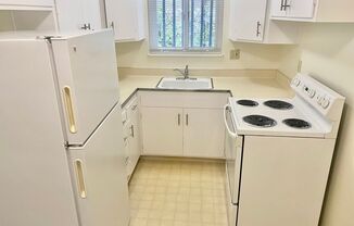 Stunning 1BR/1BA Apartment! Parking! -PROGRESSIVE