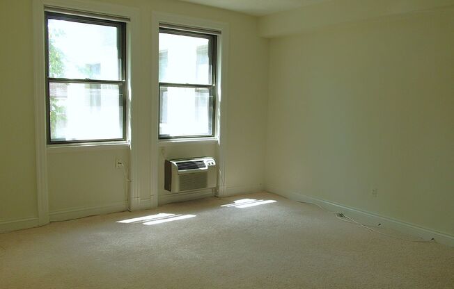 Zoo-licious Spacious Studio Apt across from the Zoo in Cleveland Park!