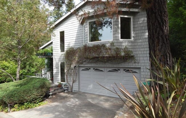 Gorgeous 3 Bedroom 2  Bathroom Home Walking Distance to Downtown Los Gatos!