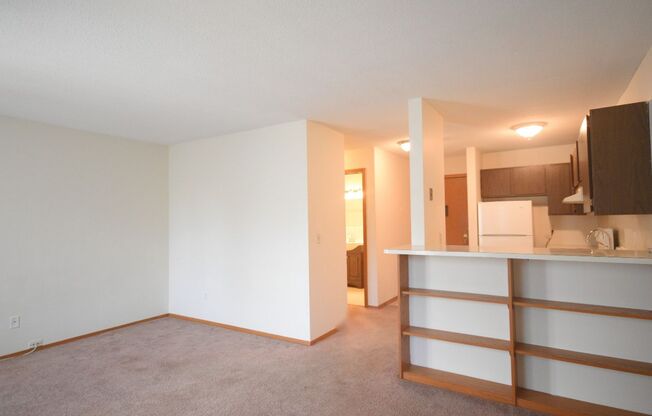 Studio, 1 bath, 400 sqft, $899, Unit 303