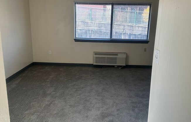 Studio, 1 bath, 460 sqft, $925, Unit 237S