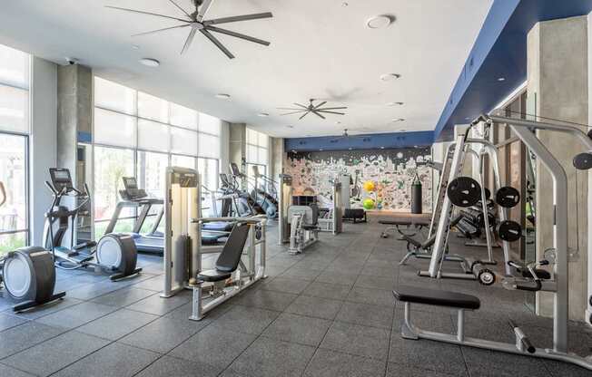 A gym with a variety of equipment including treadmills, weights, and exercise machines.