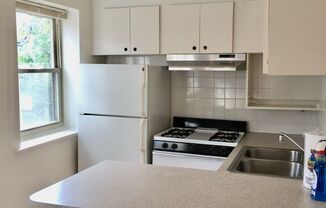 Studio, 1 bath, 332 sqft, $1,300, Unit 511