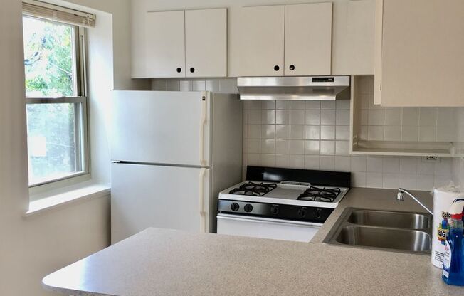 Studio, 1 bath, 332 sqft, $1,300, Unit 511