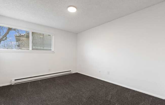 an empty room with carpet and a window