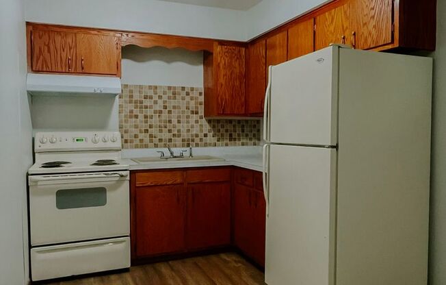 Beautiful Apartment in the Heart of Champlin, Minneapolis (Gas, Water & Trash Utilities Included!)