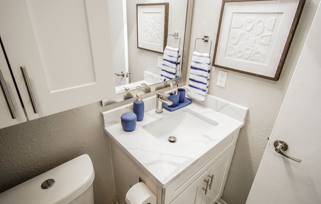a bathroom with a sink and a mirror and a toilet