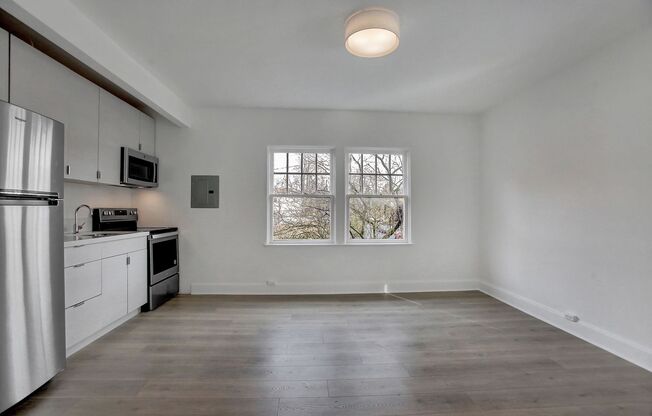 Studio, 1 bath, 235 sqft, $1,095, Unit 203