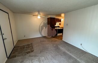 1 bed, 1 bath, 510 sqft, $1,300, Unit 3823