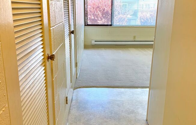 Studio, 1 bath, 302 sqft, $1,100, Unit 104