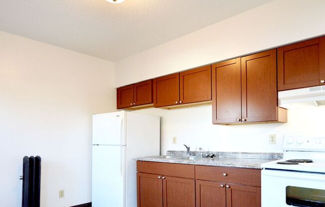 1 bed, 1 bath, 410 sqft, $960, Unit 19 - 203