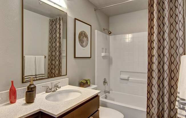 the enclave at homecoming terra vista bathroom