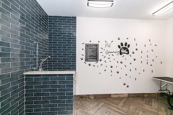 Pet Spa at Willowest in Collier Hills in Atlanta, GA 30318