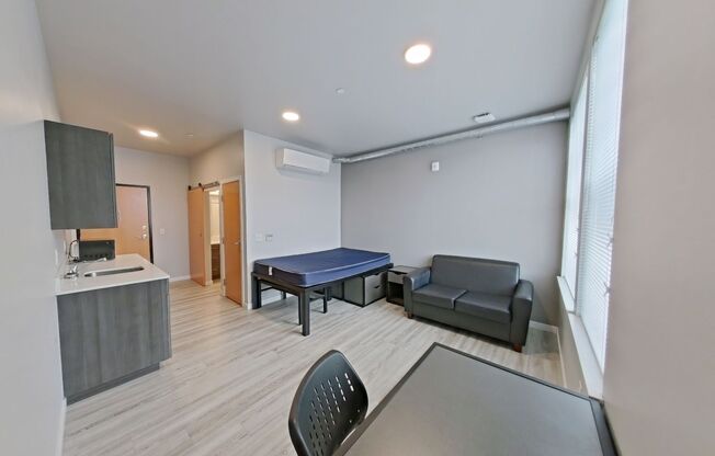 Studio, 1 bath, 295 sqft, $1,050, Unit 215