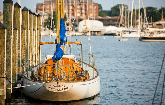 Photo of neighborhood