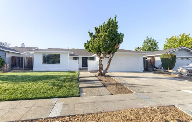 Newly Renovated 4-Bedroom 2.5-Bath South Willow Glen Home