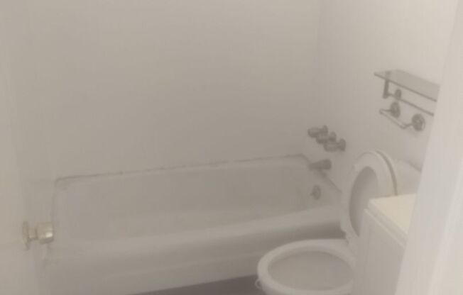 Studio, 1 bath, 204 sqft, $1,250, Unit 28